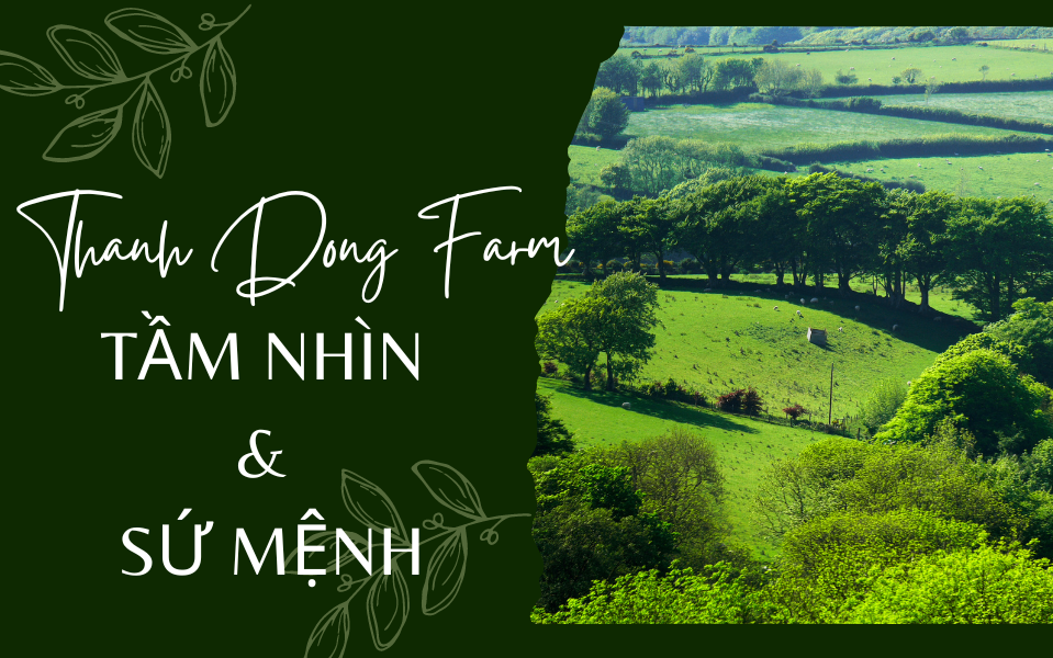 Tầm nhìn & Sứ mệnh